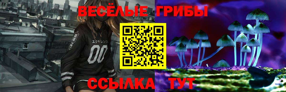 Псилоцибиновые грибы прущие грибы  Вход с VPN  Шумерля 